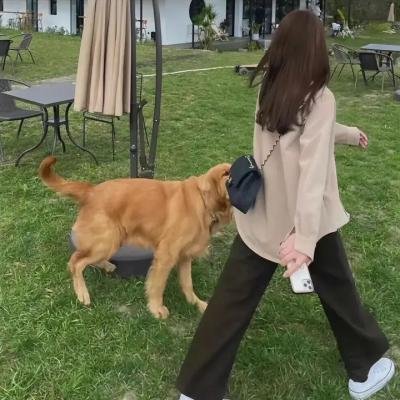 索玛丽与森林之神
